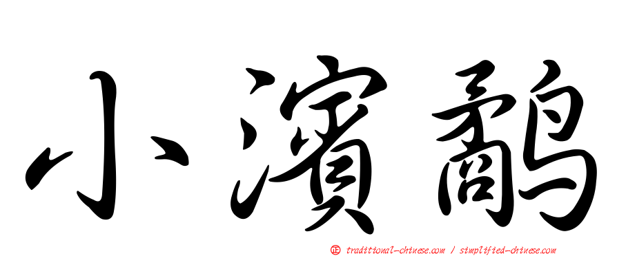 小濱鷸