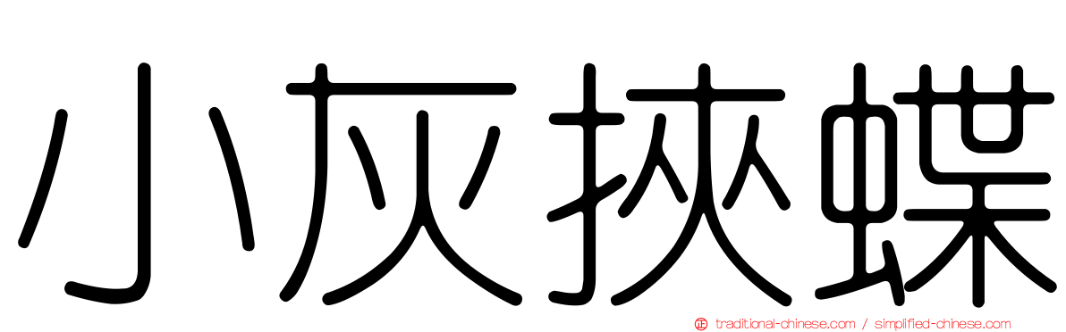 小灰挾蝶