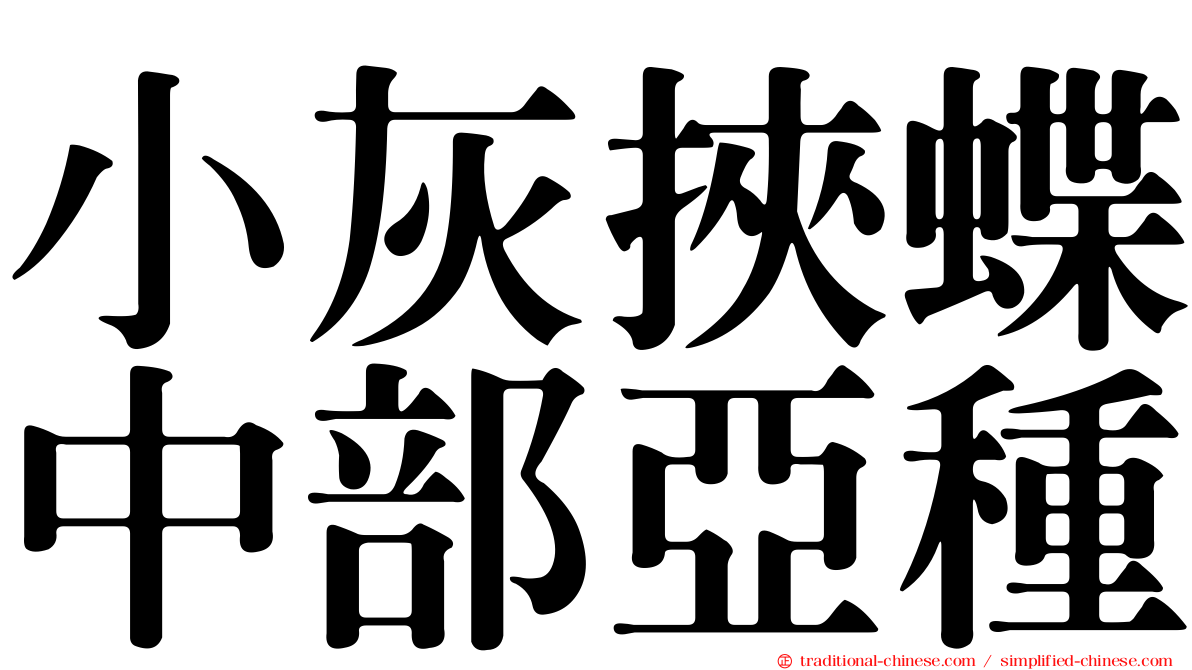 小灰挾蝶中部亞種