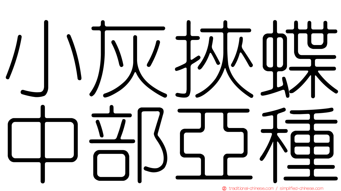 小灰挾蝶中部亞種