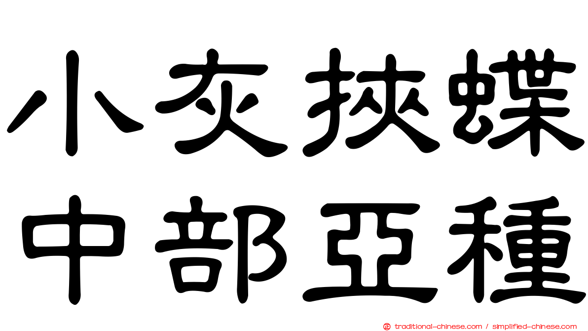 小灰挾蝶中部亞種