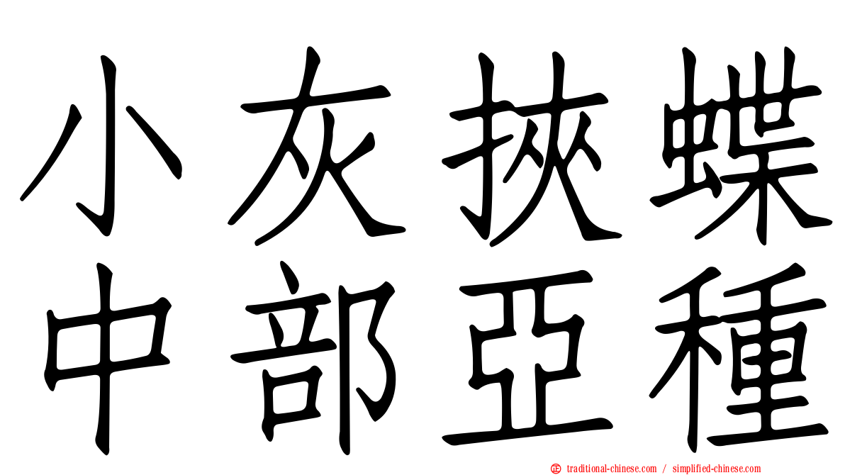 小灰挾蝶中部亞種