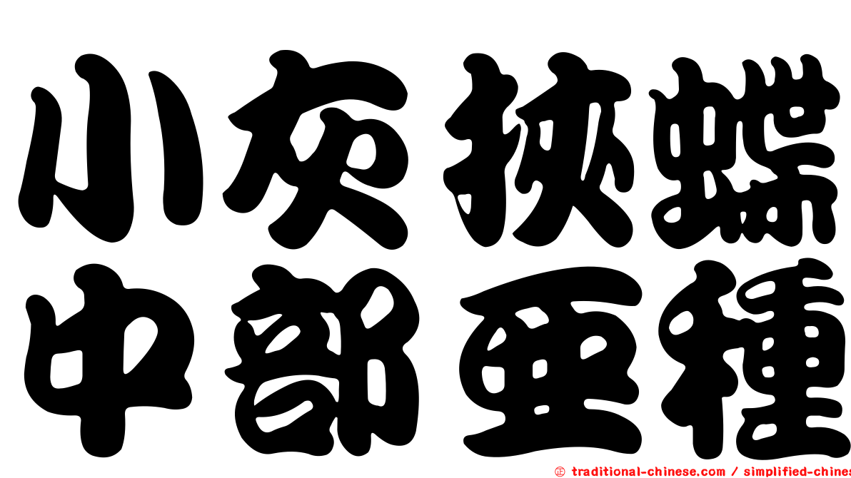 小灰挾蝶中部亞種