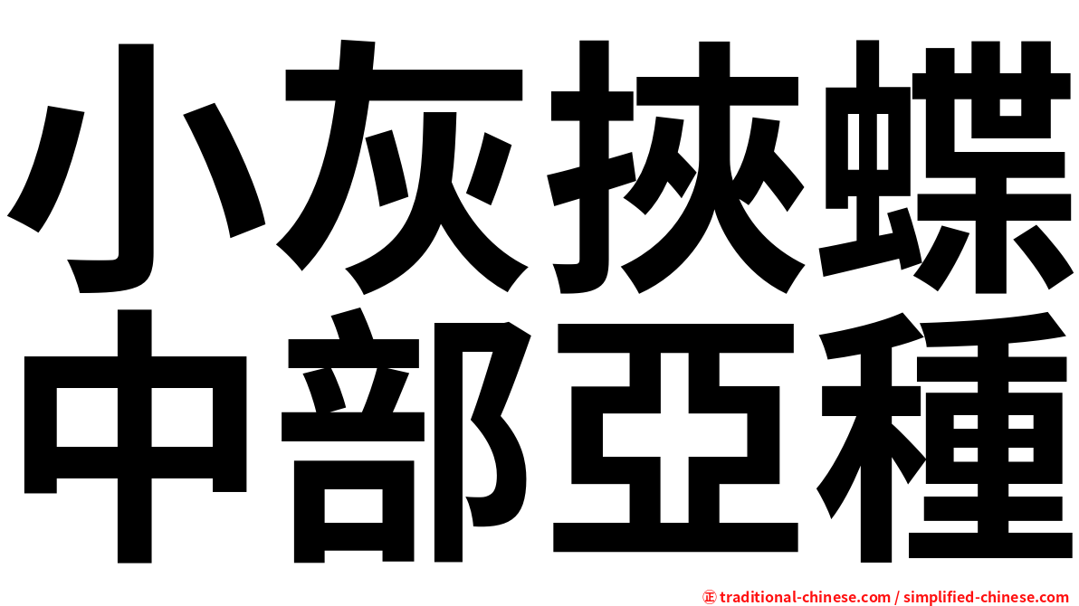 小灰挾蝶中部亞種