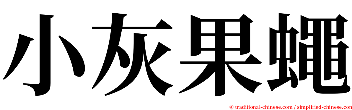 小灰果蠅 serif font