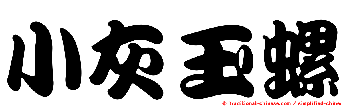 小灰玉螺