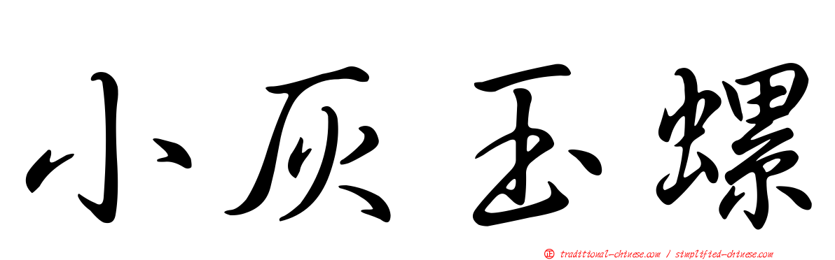 小灰玉螺