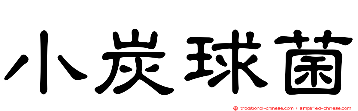 小炭球菌