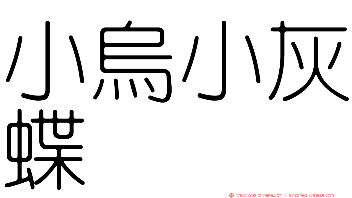 小烏小灰蝶