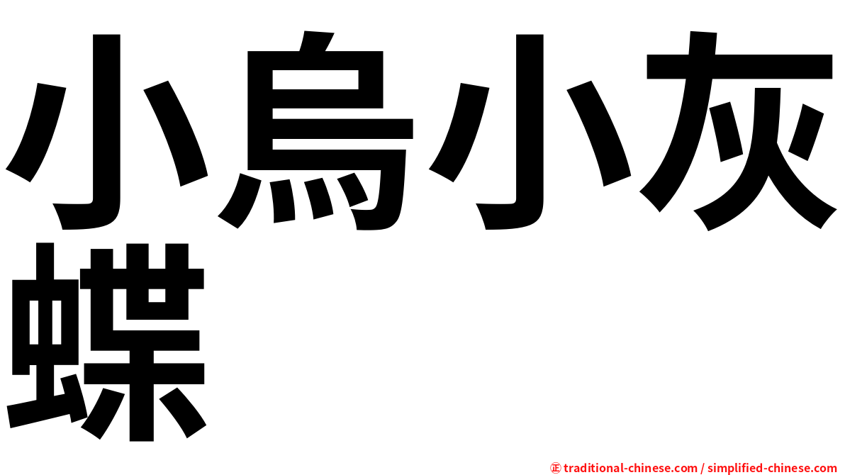小烏小灰蝶