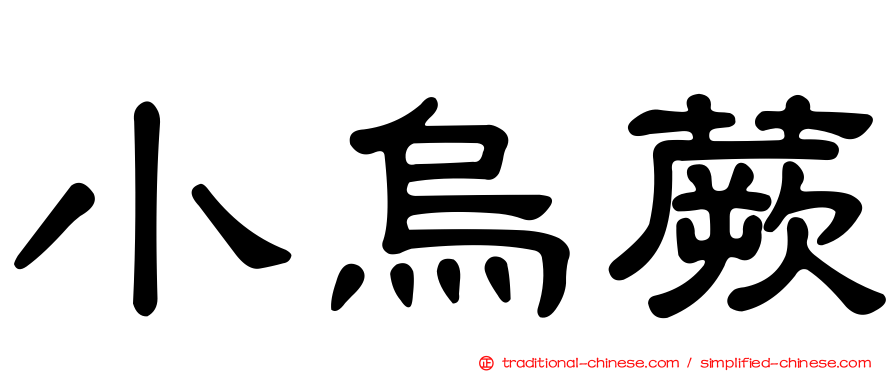 小烏蕨