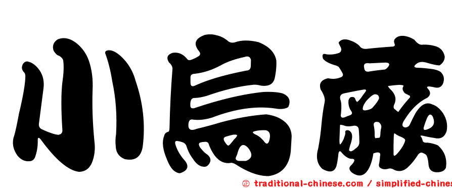 小烏蕨
