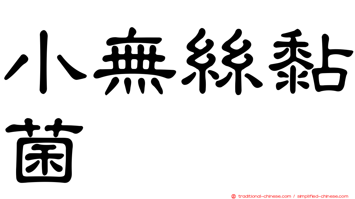 小無絲黏菌