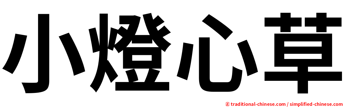 小燈心草