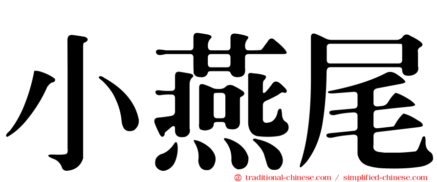 小燕尾