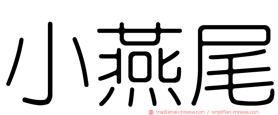 小燕尾