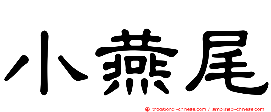 小燕尾