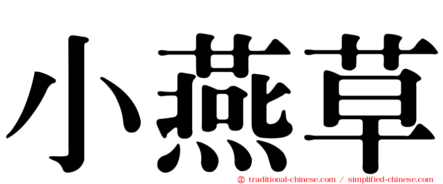 小燕草