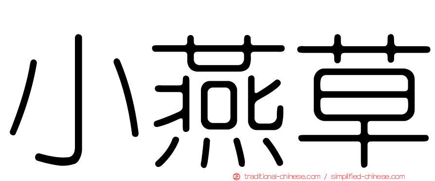 小燕草