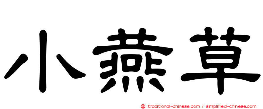 小燕草