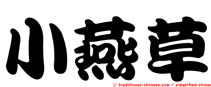 小燕草