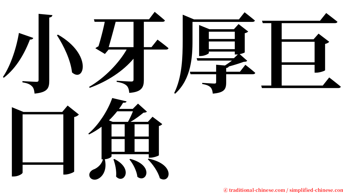 小牙厚巨口魚 serif font