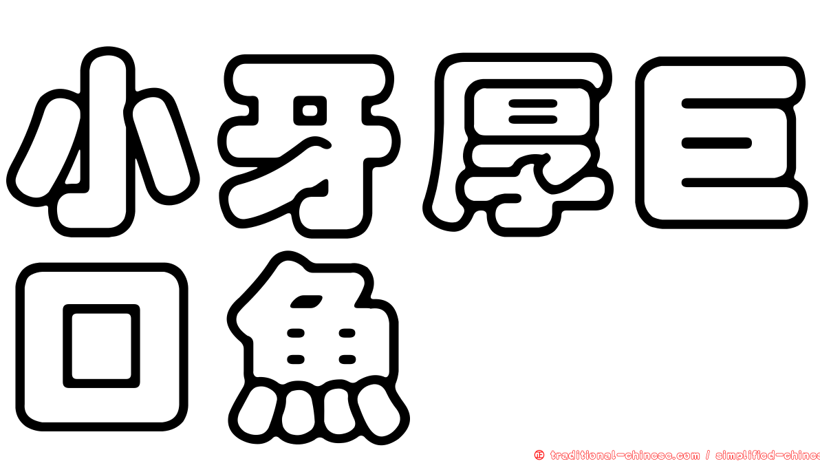 小牙厚巨口魚