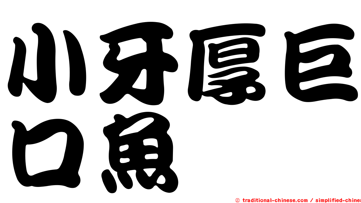 小牙厚巨口魚