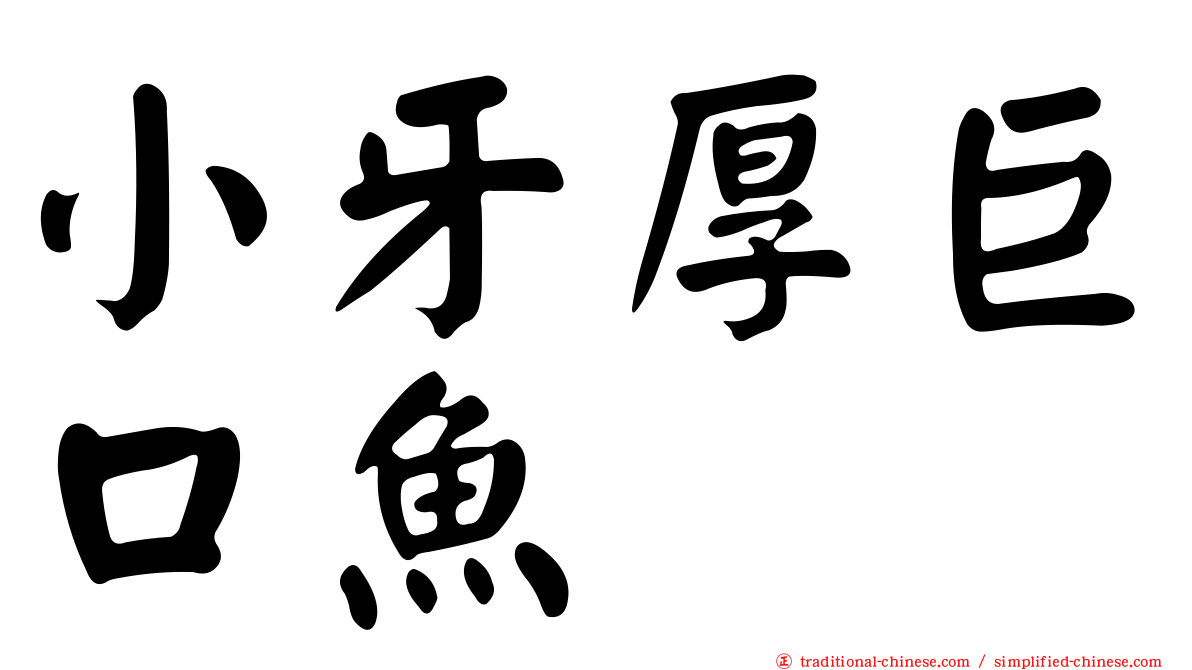 小牙厚巨口魚
