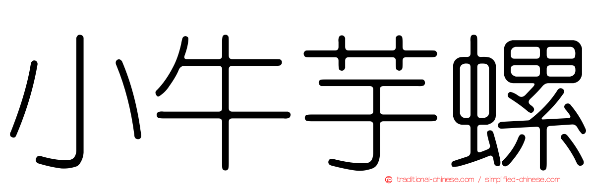 小牛芋螺