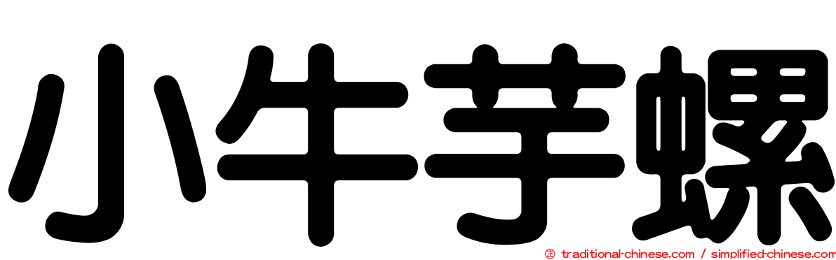 小牛芋螺
