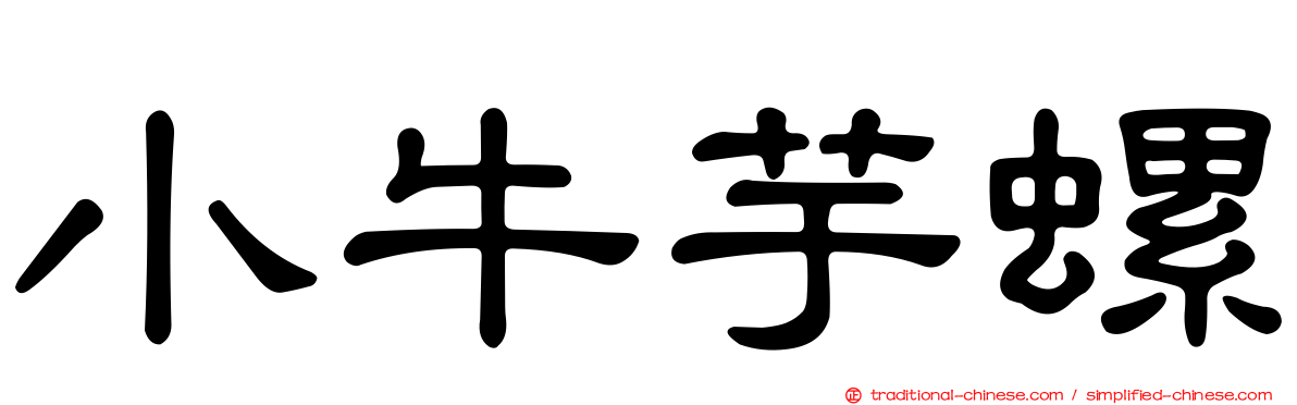 小牛芋螺