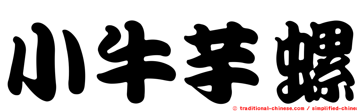 小牛芋螺