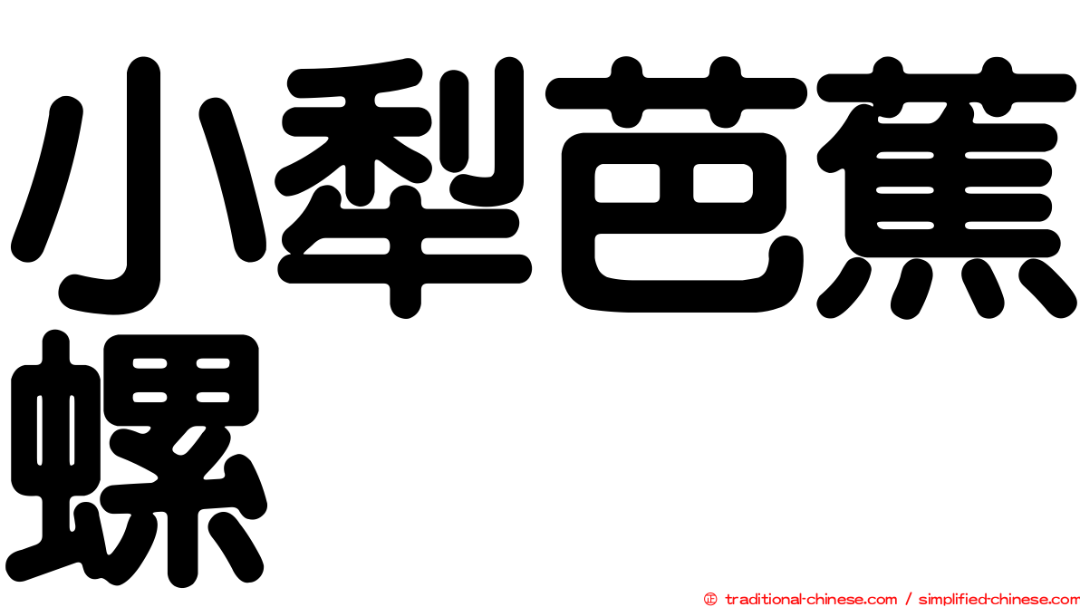 小犁芭蕉螺