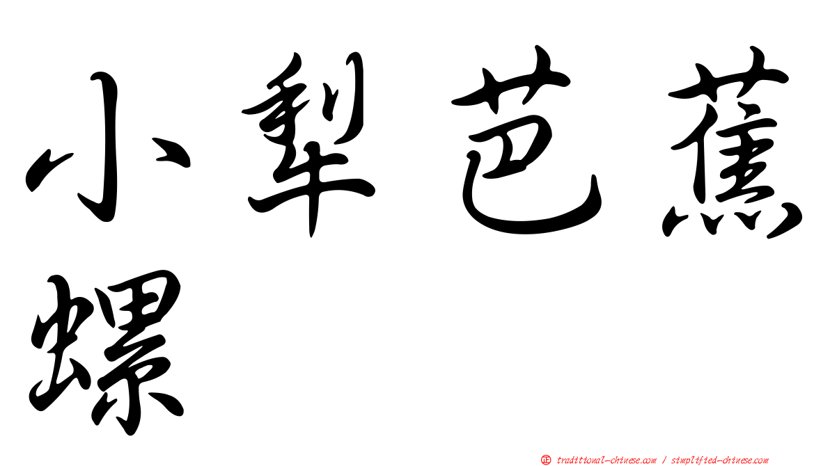 小犁芭蕉螺