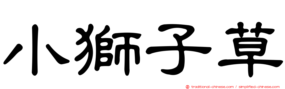 小獅子草