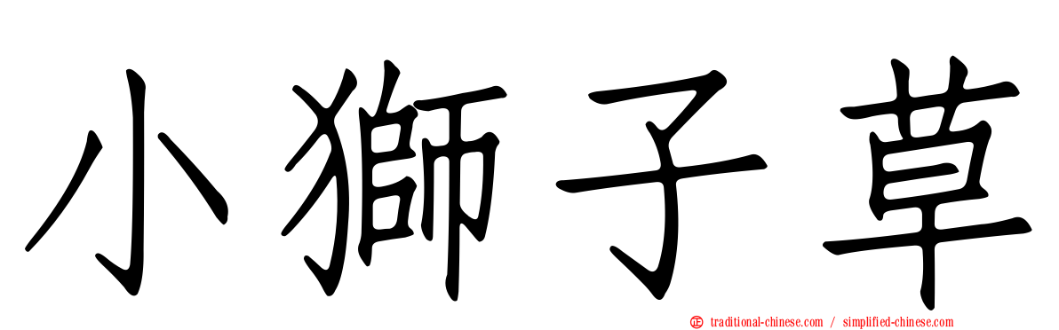 小獅子草