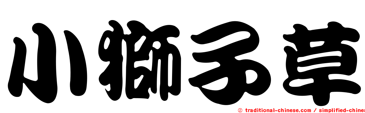 小獅子草