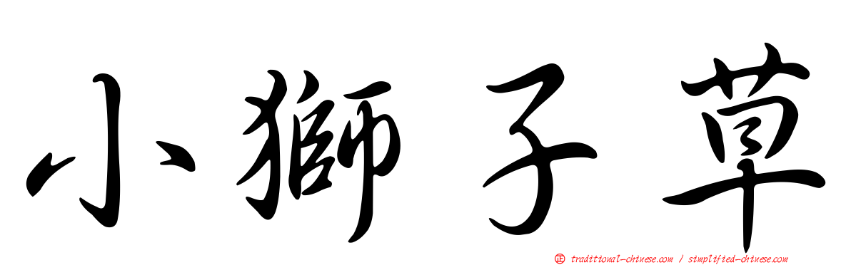 小獅子草