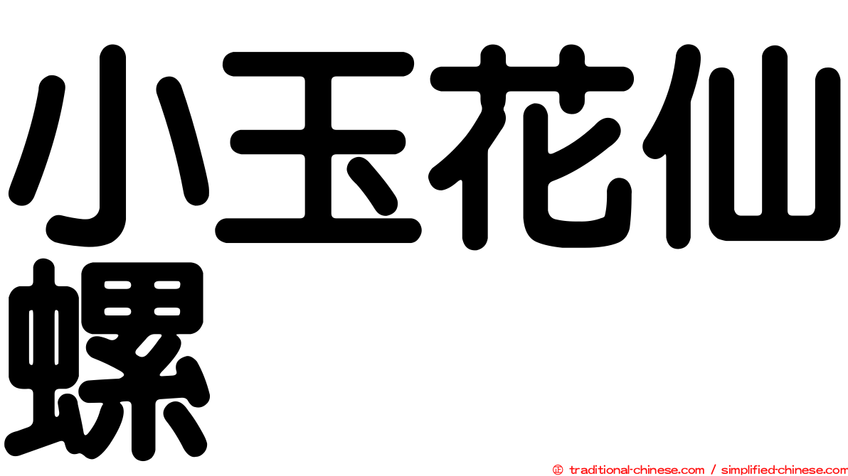 小玉花仙螺