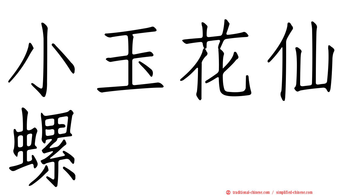 小玉花仙螺