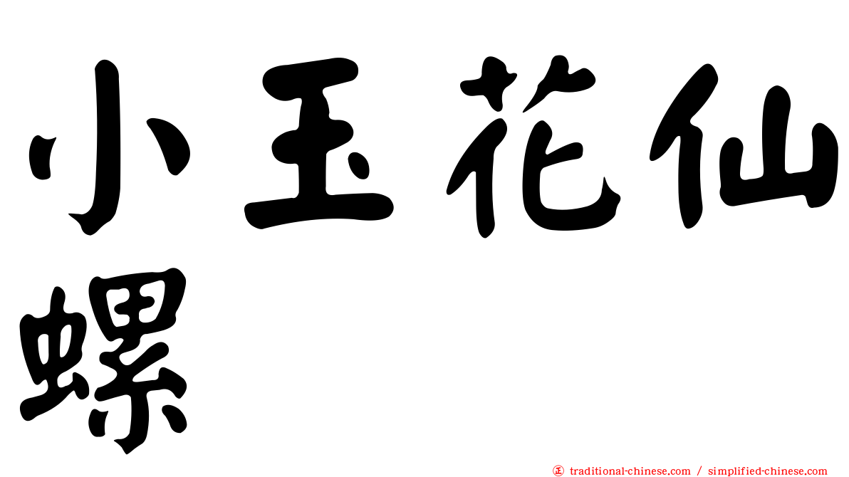 小玉花仙螺