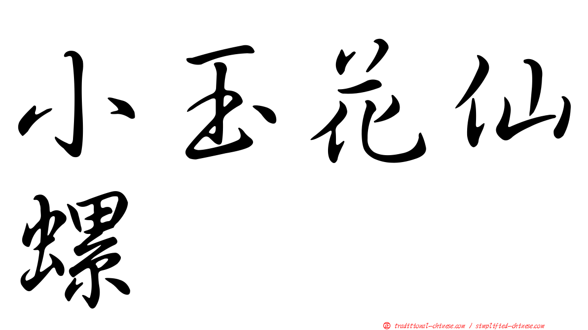小玉花仙螺