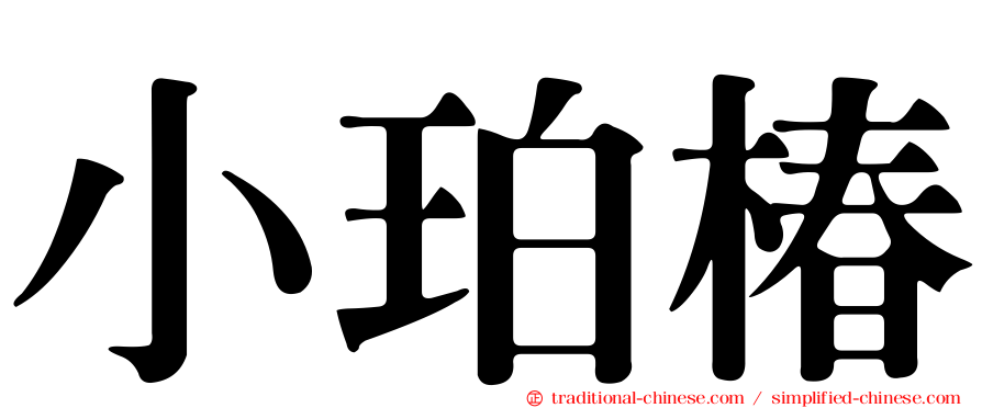 小珀椿