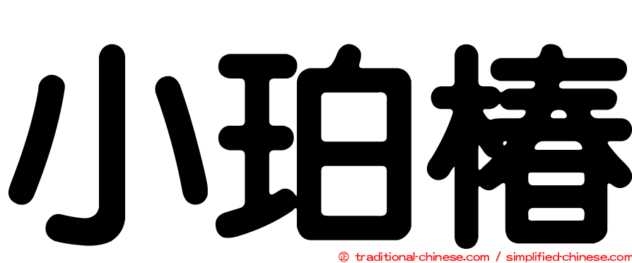 小珀椿