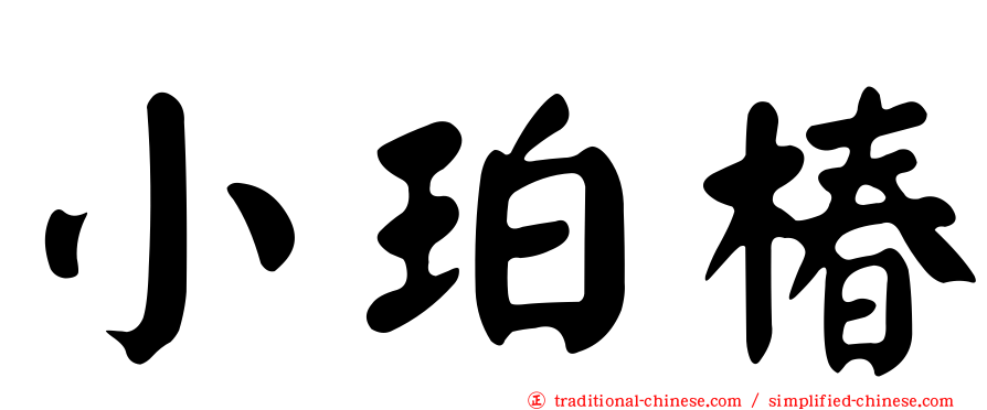 小珀椿