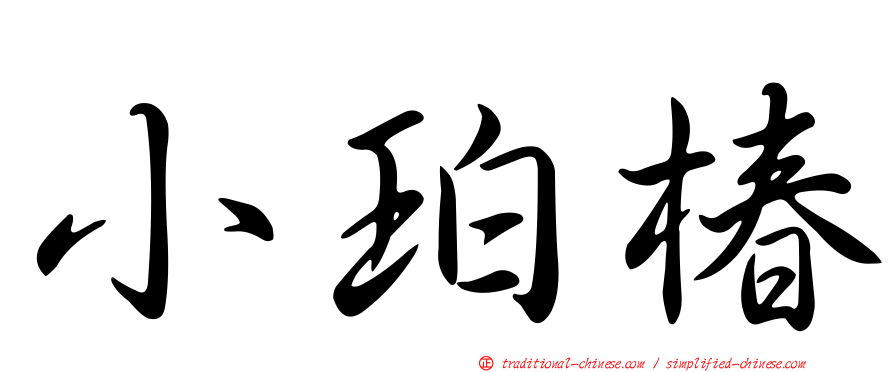 小珀椿