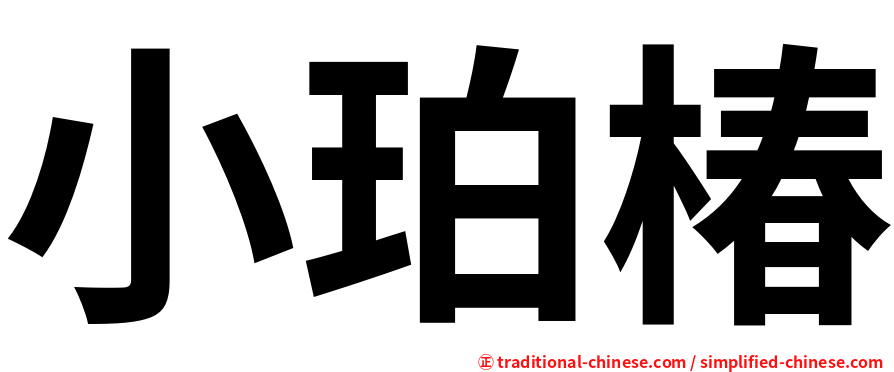 小珀椿