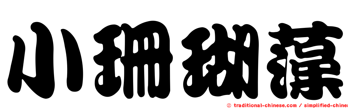 小珊瑚藻