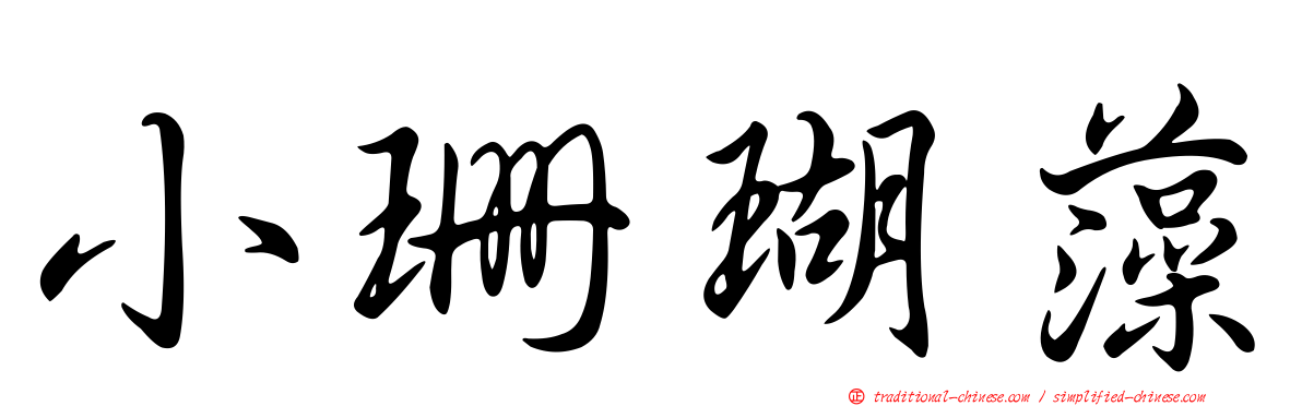 小珊瑚藻